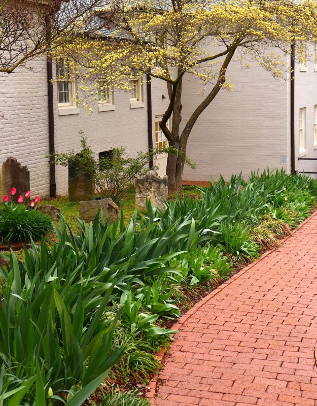 Brick Pathway Repair in Anderson, SC