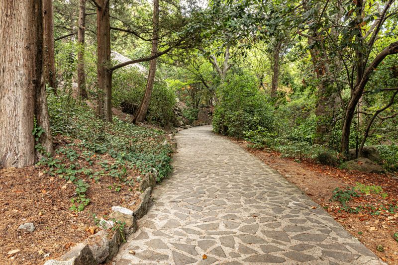 Stone Walkway Repair in Anderson, SC