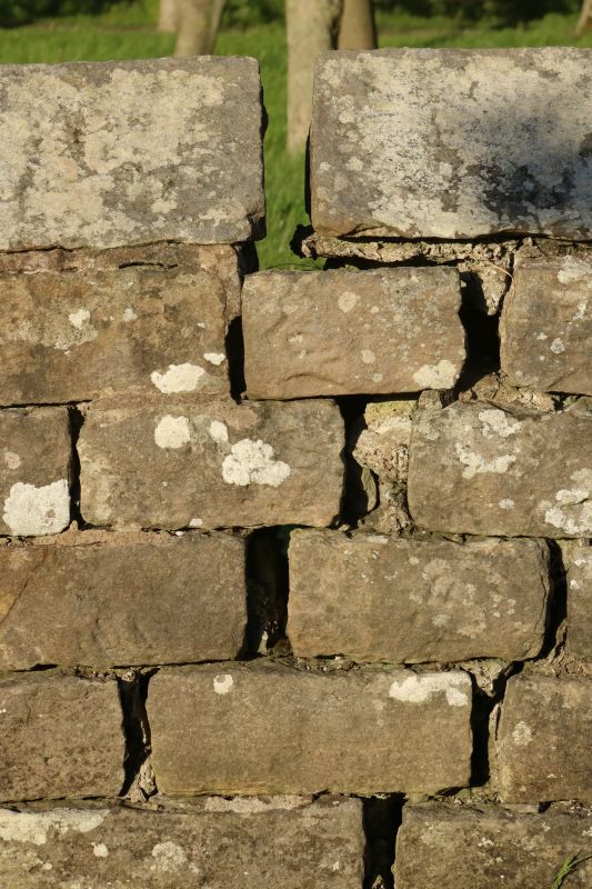 Stone Wall Repair in Clemson, SC